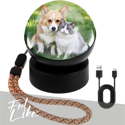 Capture Sphere - The original sphere that captures and preserves your favorite creations